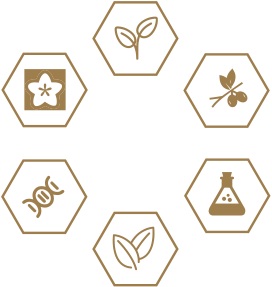 4008云顶集团|中国有限公司-官方网站