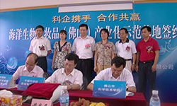 4008云顶集团|中国有限公司-官方网站