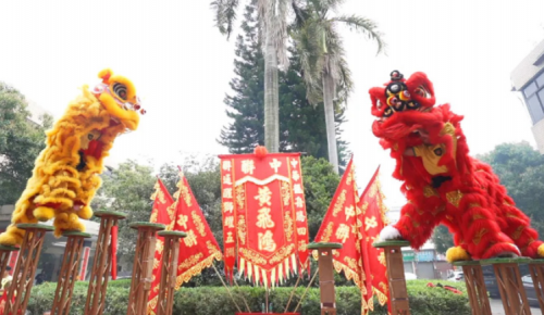 龙腾狮跃，共铸鲜丽将来！